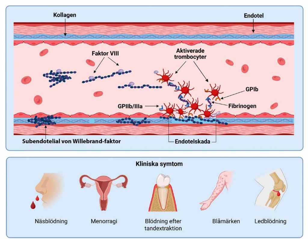 Klinisk Biokemi i Norden - Nr. 2, vol. 38, 2026